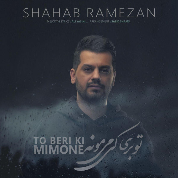 دانلود آهنگ تو بری کی میمونه دانلود آهنگ تو بری کی میمونه